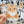 Looks Like My Cat! Orange tabby cat sticker