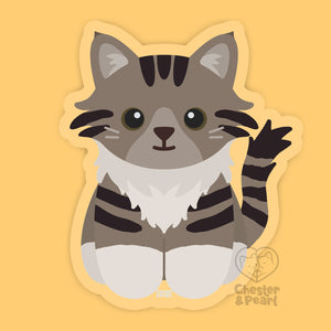 Looks Like My Cat! Maine Coon long-haired brown tuxedo tabby cat sticker