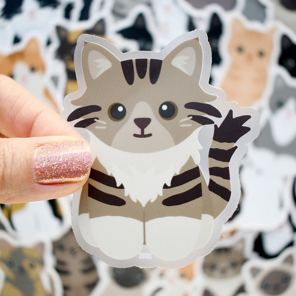 Looks Like My Cat! Maine Coon long-haired brown tuxedo tabby cat sticker