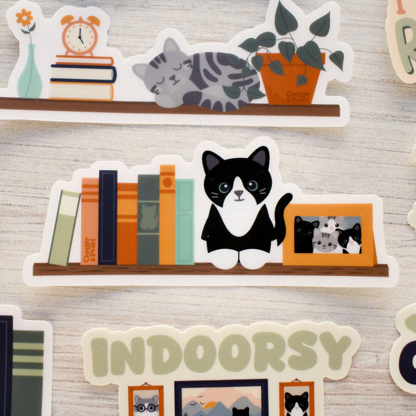 Black Tuxedo on a Bookshelf 4-in. Clear Vinyl Cat Sticker