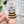 Gray Tabby Bee Cat 3-in. Clear Vinyl Sticker