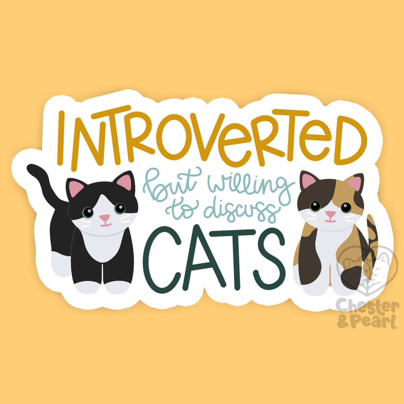 Cat Lover? You're More Likely to Be an Introvert