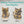 Looks Like My Cat! Dilute tortoiseshell cat sticker