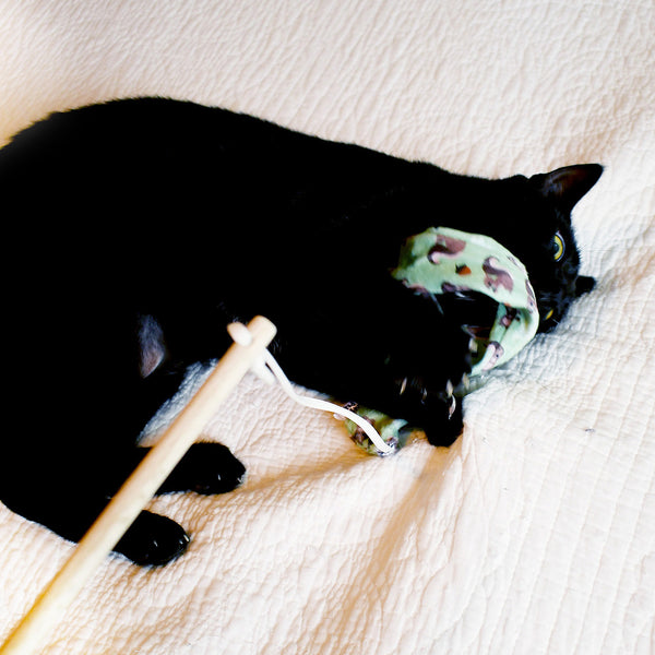 Birds Chaser Interactive Cat Toy
