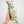 Squirrels Kicker Cat Toy