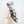 Monochromatic Cats Kicker Cat Toy