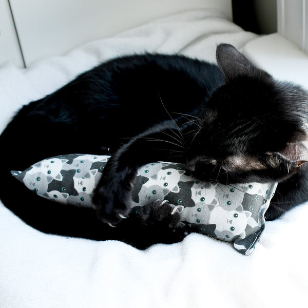 Monochromatic Cats Kicker Cat Toy